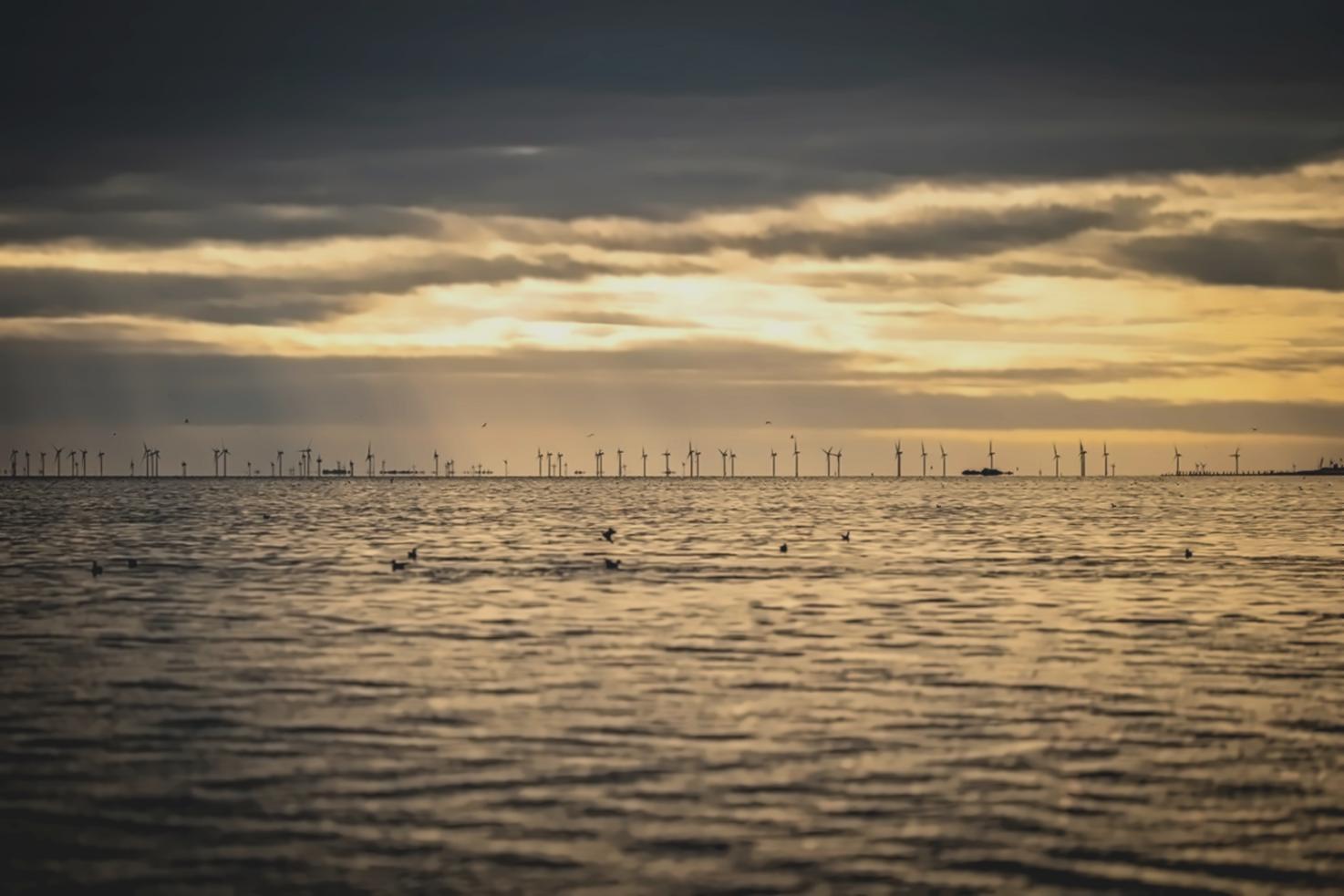 Studenti pracující s environmentálními daty